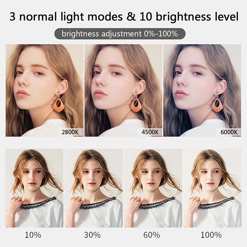 10 inch LED Selfie Ring Light  - Photography Lighting Circle 评论和价格