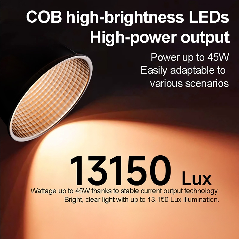 60W RGB Video Light Portable L - Photography Lightning 评论和价格