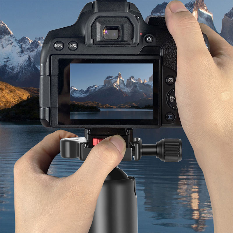 Anti-Sway Monitor Quick Releas - Photography Video Lighting Kit With Adjustable Tripod Stand 评论和价格